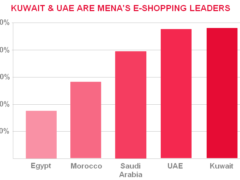 32% of MENA Internet users buy online