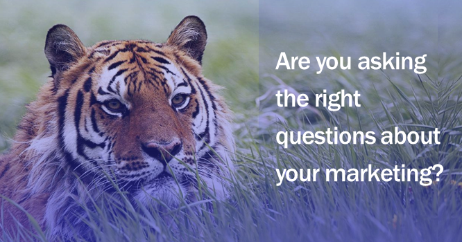 Are you asking the right marketing questions?